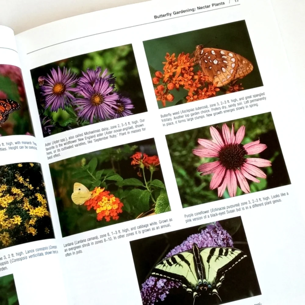 The Butterfly Book by Stokes and Williams (Butterfly and Gardening Planning)
